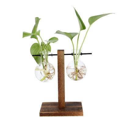 Solid Wood and Hydroponic Plante Vase - Home Decor/Gift/Wedding